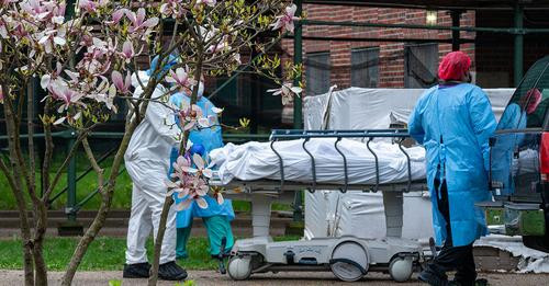 538727098904847674?url=https%3A%2F%2Fdk news.com%2Fwp content%2Fuploads%2F2024%2F10%2FCOVID19Deaths .jpg