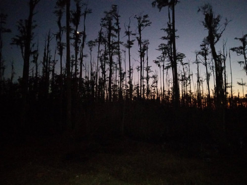 GZaBjVHXwAA GU ?format=jpg.jpg