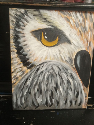 1728451235 734018281.jpg