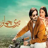 t24 teri chhaon mein