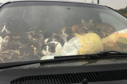 kWxYbNMb FWR70oZNk O zIgXjQ2bmG5agYG3JKy40pYKEdZlK5 QS7GNbbBMm7IRLkl KIY wgV8 3URjjTvoCgaIJ4ennlr6p5.jpg