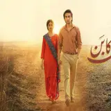 t21 zard patton ka bunn