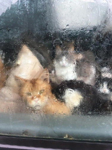 bZfU7DDRXMZ5R3AD7blTfwcILabrAje85kh5Q5Rv 1q7ISDkYLCZdDtJhc2DUJ0ZV805LhdWNv 2yH1Zu ak2l0QJwOMWf7iHOZ8.jpg