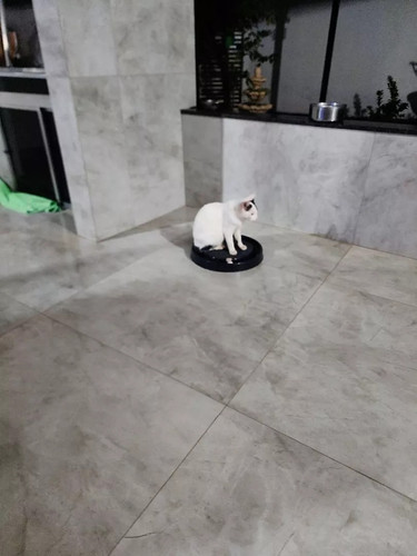 4a2ad3cd d802 4ae0 9cbd d977a83caece.jpg