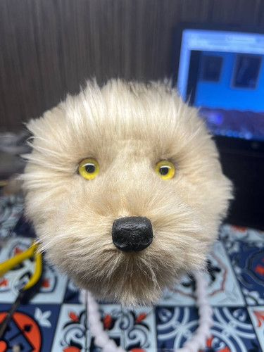 1728420805 2093534842.jpg