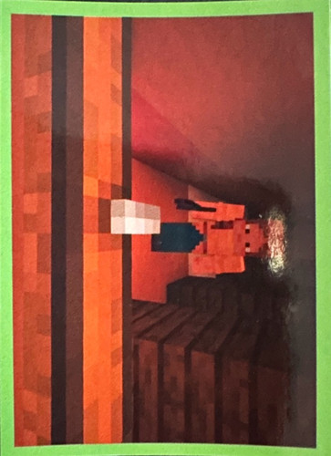51.jpg