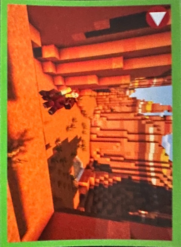 46.jpg