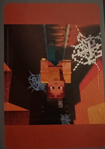55.jpg