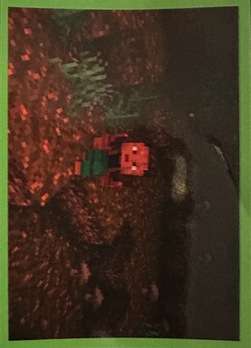 57.jpg