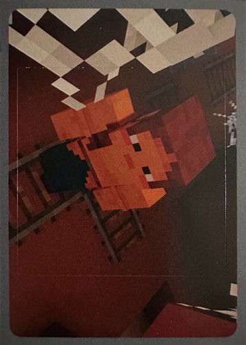53.jpg