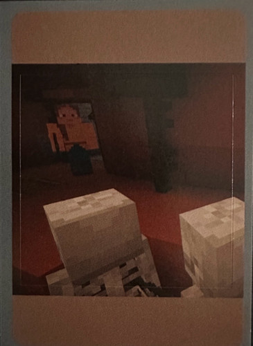 54.jpg