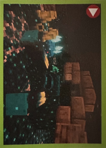 141.jpg