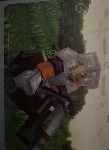 133.jpg