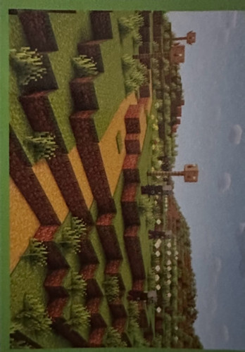 119.jpg