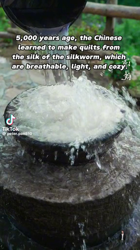 1SZUdwo76M vvN6A.jpg