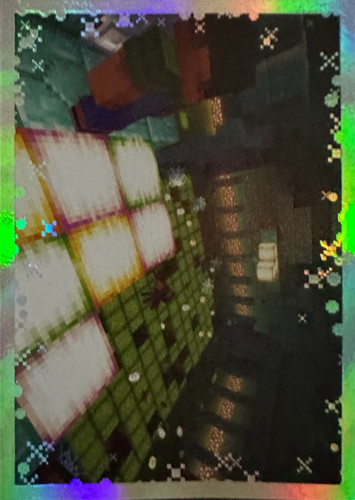 163.jpg