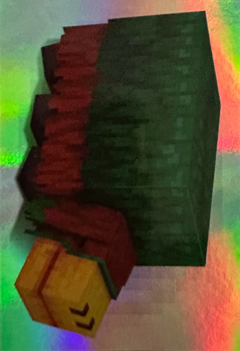 182.jpg