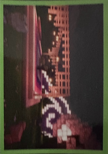 217.jpg