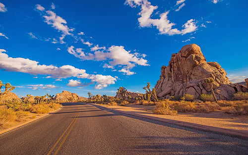 desert road joshua tree national park is a protected area in southern california with rugged rock fo.jpg