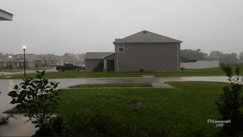 vivaldi 2024 10 09 18 05 33.gif