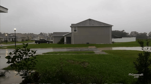 vivaldi 2024 10 09 18 04 10.gif