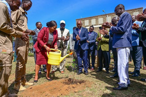 462436487 1153582849467248 2781095457762706747 n.jpg?stp=dst jpg p526x395& nc cat=102&ccb=1 7& nc si.jpg