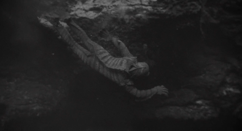 cap The.Creature.Walks.Among.Us.1956.720p H264 AC3 DD2.0 00 20 23 03.png