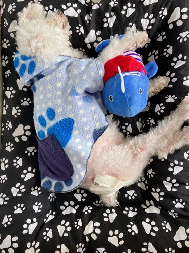 412fd3fe 9b5d 490a aa57 45a4749c4251.jpg