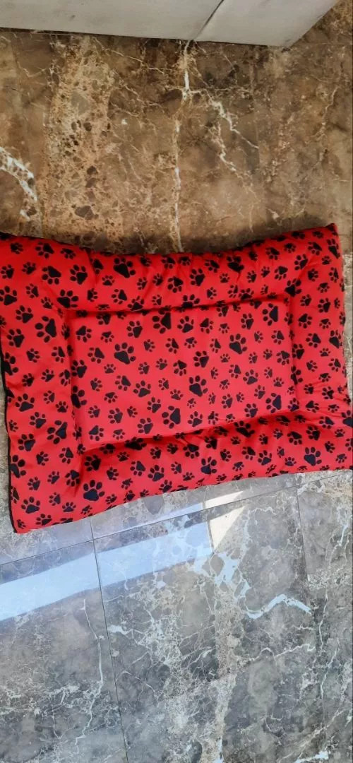 ac1cbcfc f652 4204 b40a 5cf1e8f4050d.jpg