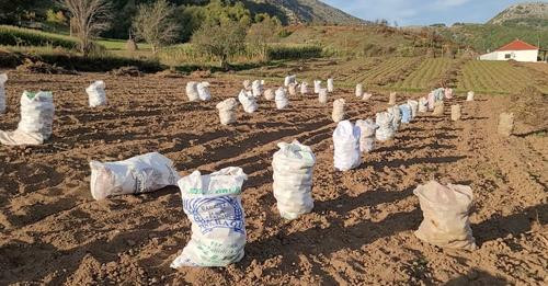 16223392320651625951?url=https%3A%2F%2Fstatic.joq albania.com%2FimagesNew%2F2024%2F10%2FIMG 5470.jpe.jpg