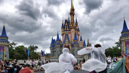 GZb T4OW8AAgLUs?format=jpg.jpg