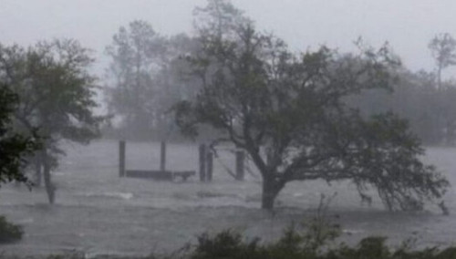 462683162 563574912690809 1542697125037031741 n.jpg?stp=dst jpg p180x540 tt7& nc cat=107&cb=99be929b.jpg