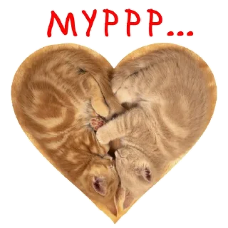 1728469857 1650607628.webp