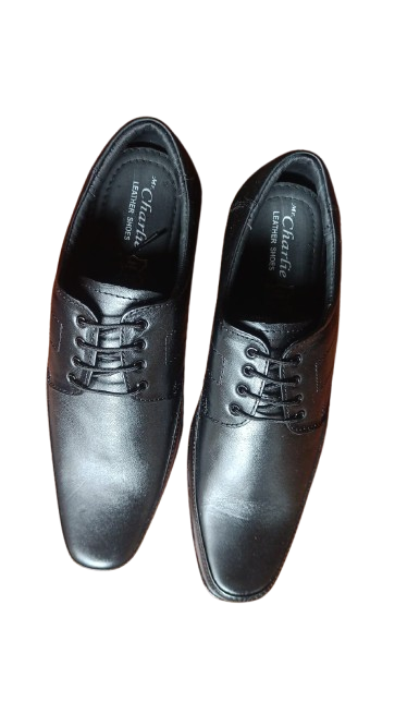 7021b68c d6d3 4816 b098 95f32792cbb9 removebg preview.png