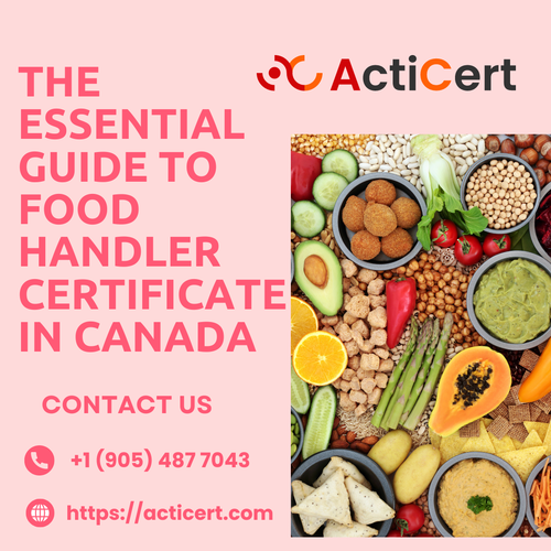 The Essential Guide To Food Handler Certificate In Canada.png