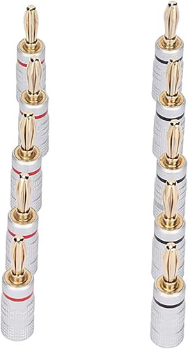 51IwfxQrbiL. SY500 .jpg