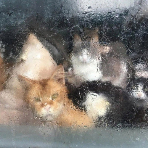 LnSLxhM2CRgEv06oZsRnvbi sY2OojszrAPm1HoDQM5veGO k76PYUm6CCk2sByN5AjXHudfJjS7bL2Vfgw7POC3XBPVc YvMoFM.jpg