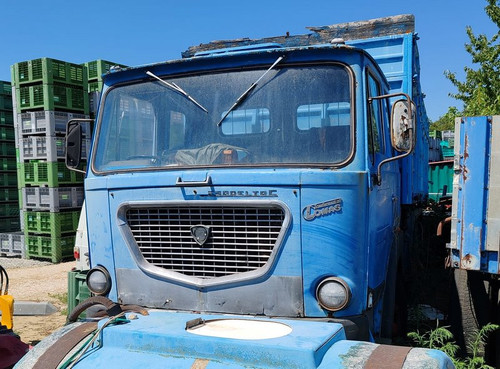 452915523 1188790229135275 5636600478498210620 n.jpg