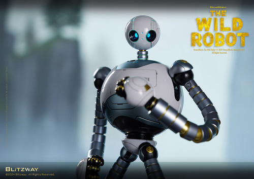 18 WildRobot Official 0981.jpg