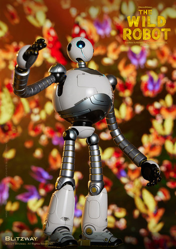 15 WildRobot Official 0904.jpg