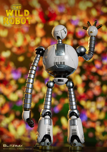 16 WildRobot Official 0873.jpg