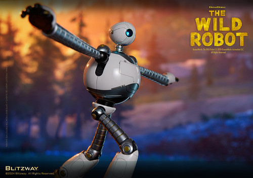 12 WildRobot Official 0915.jpg