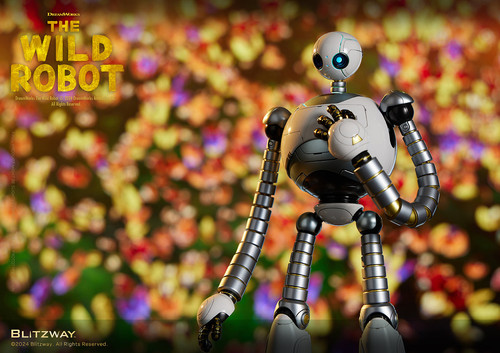 13 WildRobot Official 0866.jpg