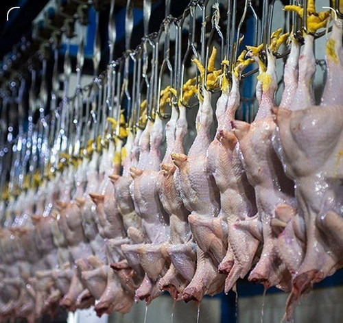 hssK65PPUb4dtt14ldmJbU3bG424fJT5GfddnOShytW61cjqSwRgeymONIjWUEk9kwZkl PyxT pNp7zlG7EAq23kIiLous6REpW.jpg