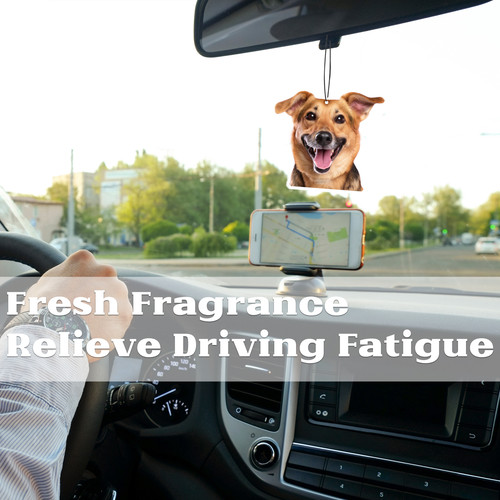b2 2.jpg