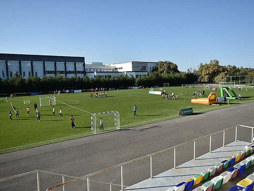 462620327 1077083857751499 413906412253638384 n.jpg?stp=dst jpg s600x600& nc cat=102&ccb=1 7& nc sid.jpg