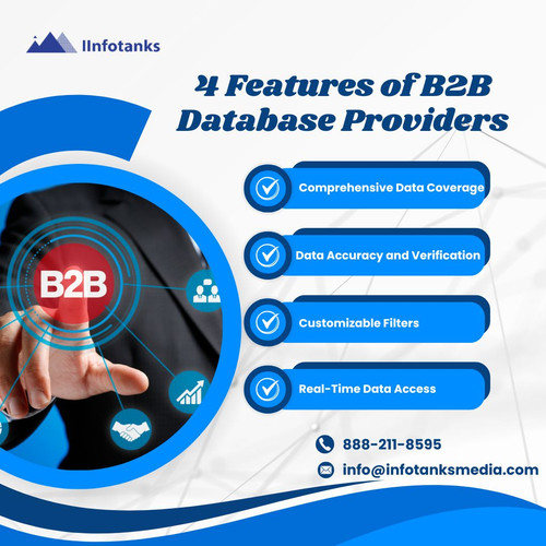 4 Features of B2B Database Providers.jpg