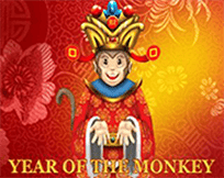 YearoftheMonkey.png
