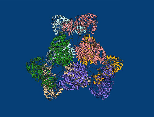 vkq3JPQAQLdUcdv .jpg