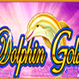 Dolphin Gold H5
